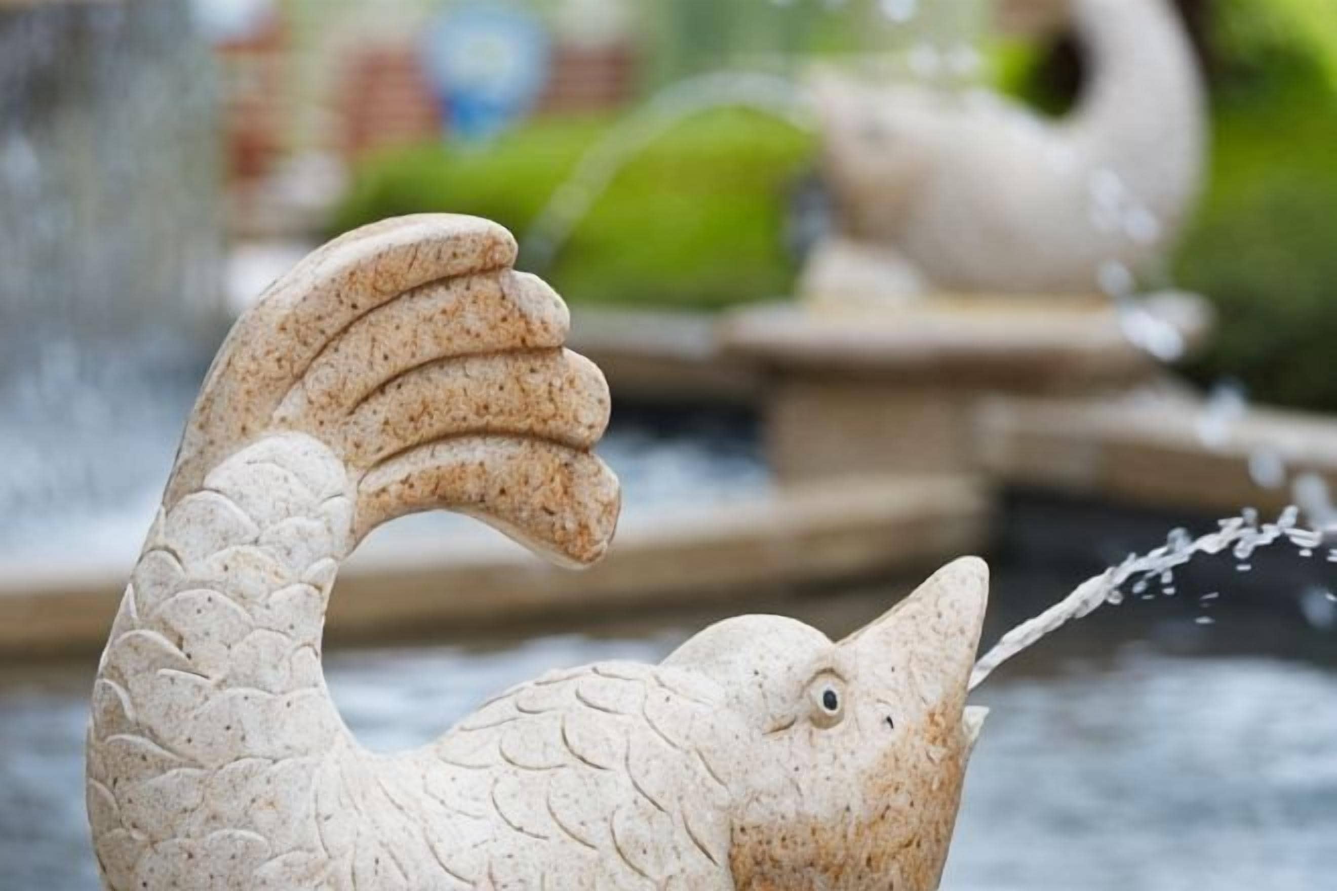 A stone fish sculpture with water flowing from its mouth.