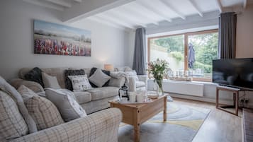 TV connectée, cheminée