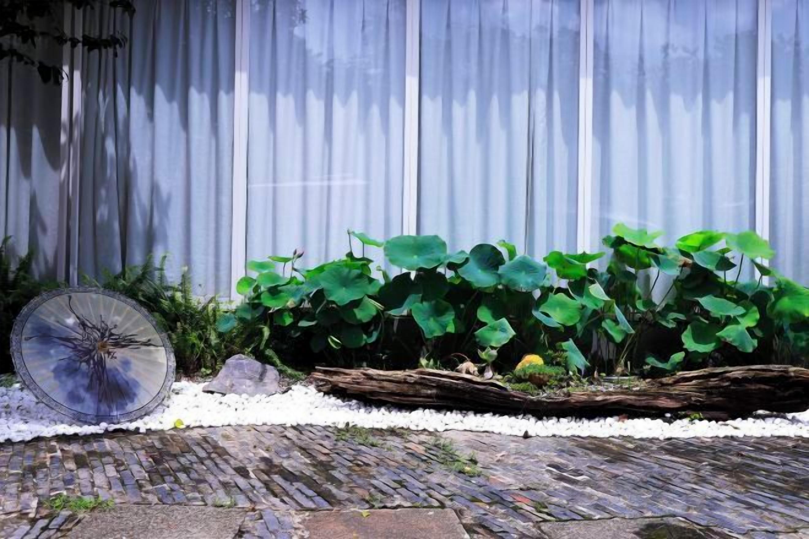 A garden with a wooden bench, a decorative glass object, and a white gravel path.