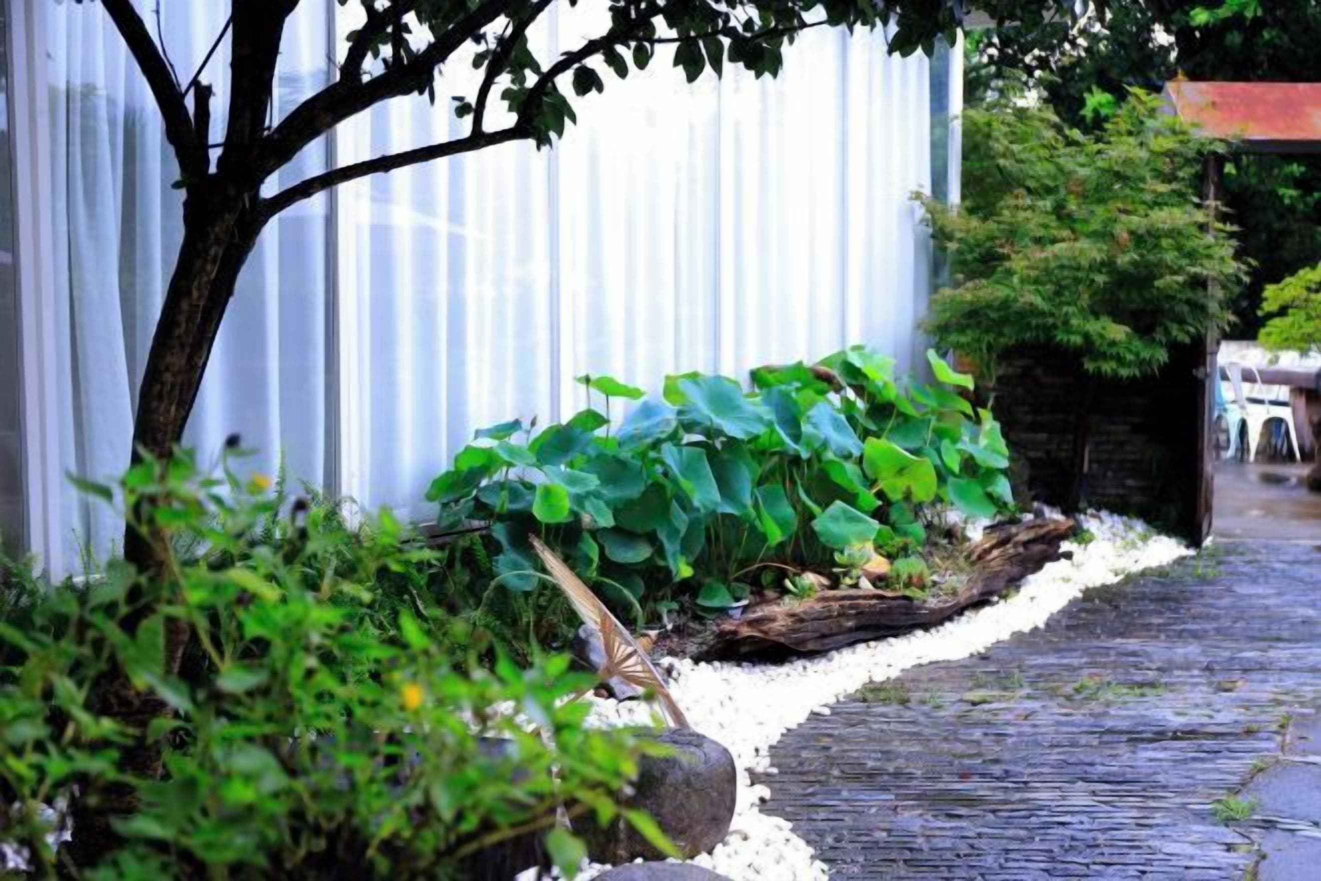 Un sendero bordeado de vegetación y una pared blanca.