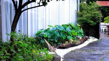 Un sendero bordeado de vegetación y una pared blanca.
