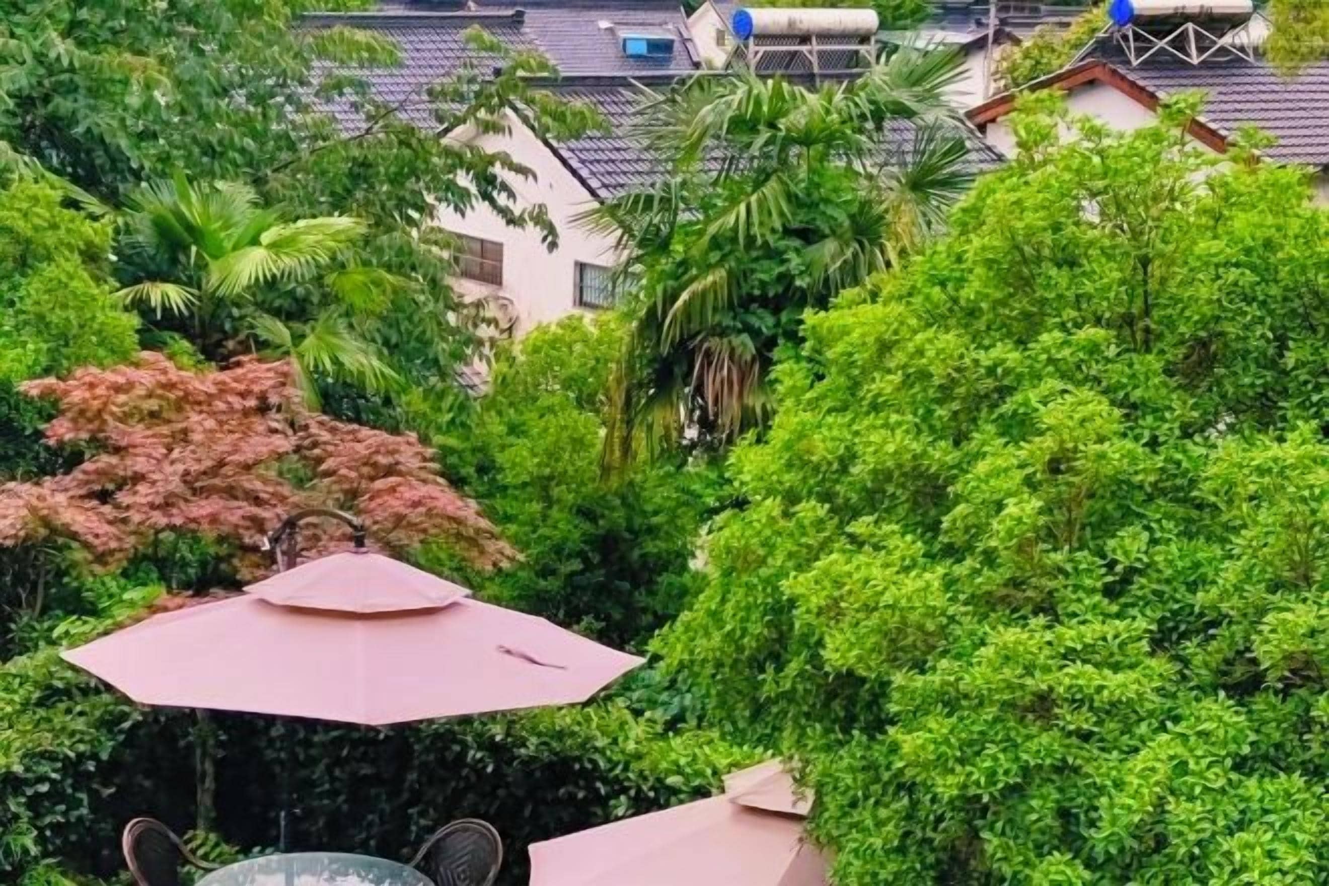 Un jardin luxuriant avec une table et un parasol, entouré d’une végétation dense et de bâtiments résidentiels.