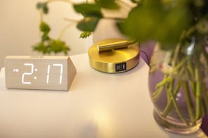 A digital clock displaying 2:17 PM, a gold-colored object on a white surface, and a vase with green plants.