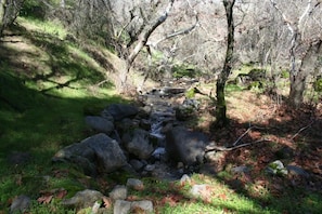 Parco della struttura