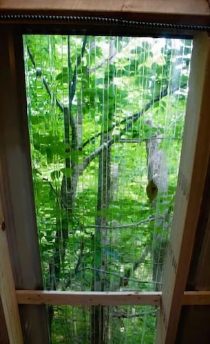 Trails Head Tiny House