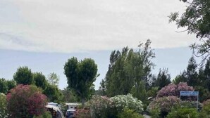 A river with a grassy bank and trees.