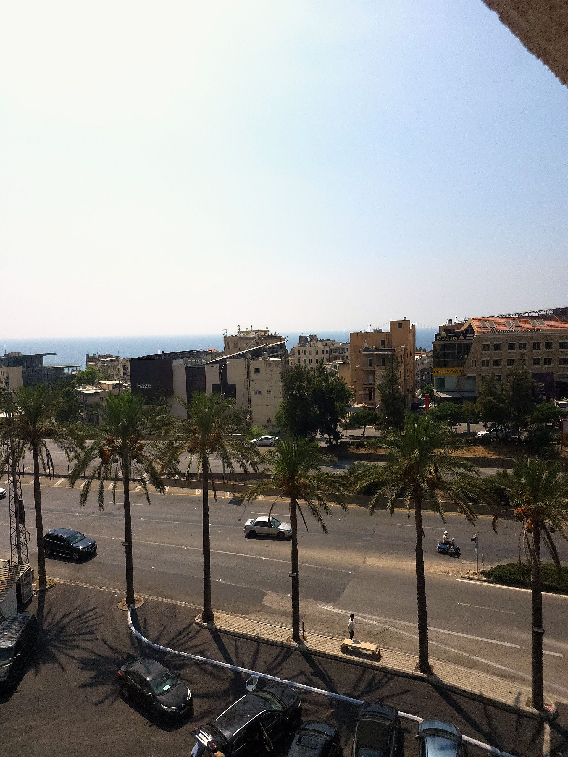 A cityscape with buildings, a road, and palm trees.