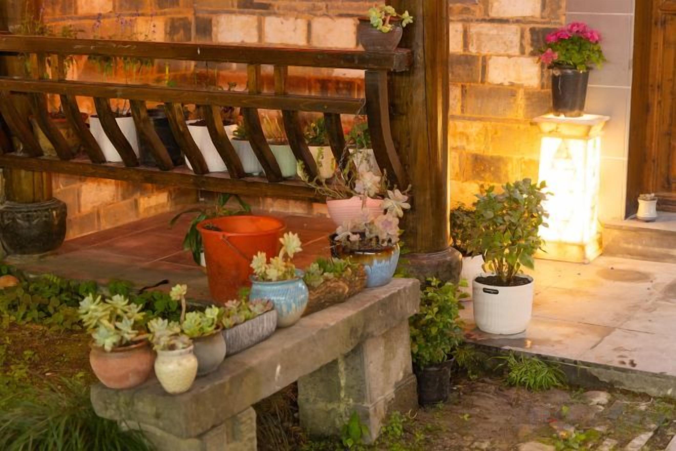 Un banco de madera con plantas en macetas y un muro de piedra al fondo.