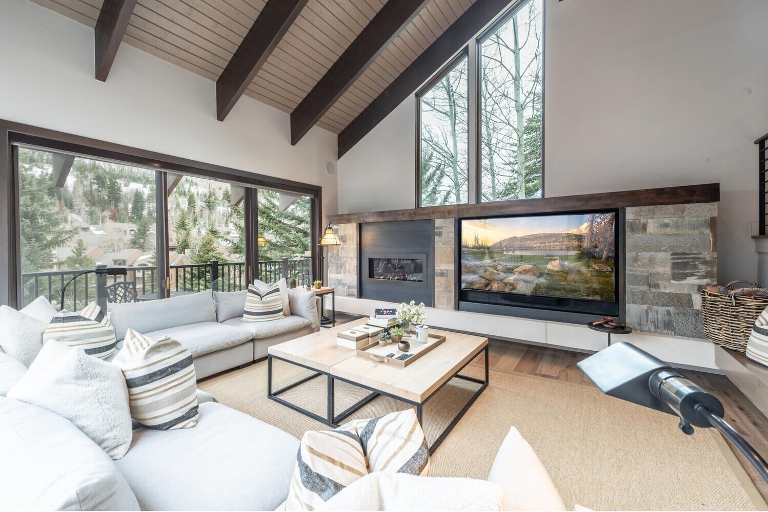 Smart TV, fireplace, stereo