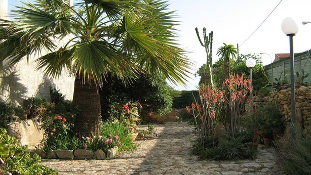 Un sentier pavé de pierres dans un jardin où l’on trouve des palmiers, des cactus et des plantes à fleurs.