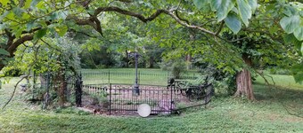 Nestled near woods and creek, this large home is near state parks and colleges..