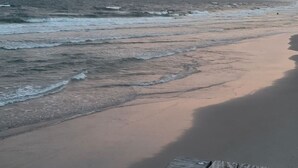 En strand med en träbänk i förgrunden.