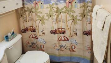 Combined shower/tub, hair dryer