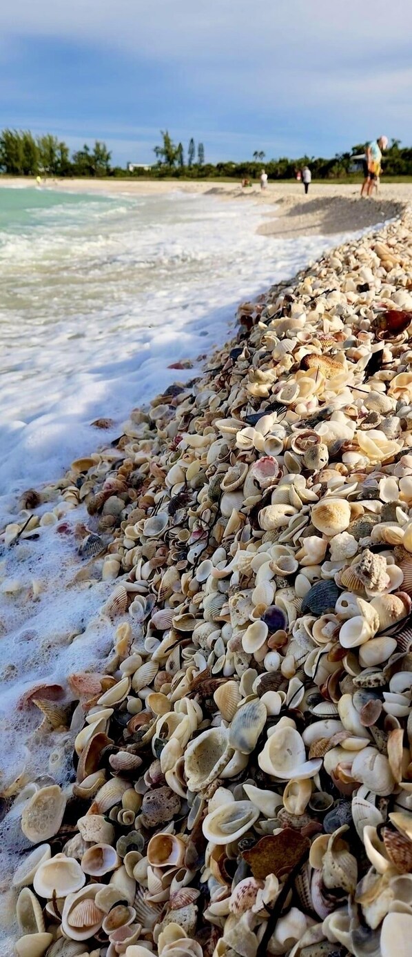 Chaises longues, serviettes de plage
