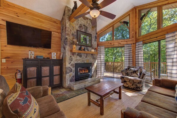 TV, fireplace, DVD player