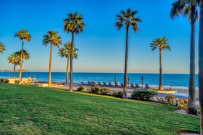 On the beach, sun loungers, beach towels