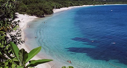 Peaceful Hidden Gem- Newly furnished 2 bed, 2 bath, Beautiful Pool- Coco Beach!