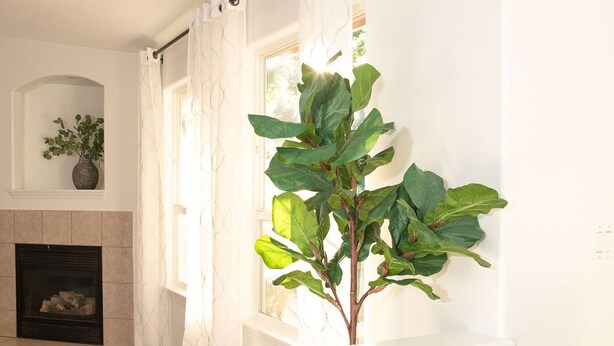 Une pièce avec une cheminée, une plante en pot et une fenêtre ornée de rideaux blancs.