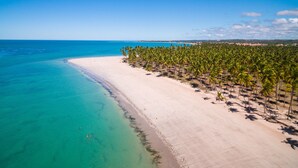 Eine Vogelperspektive zeigt einen Strand mit blauem Himmel, türkisblauem Wasser und einer Reihe von Palmen am Ufer.