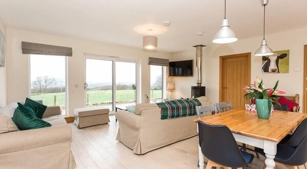 TV, fireplace, DVD player