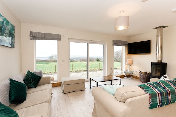 TV, fireplace, DVD player