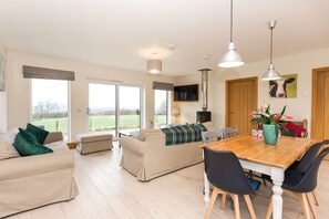 TV, fireplace, DVD player