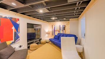 Smart TV, fireplace, video games, books