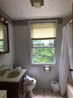 Combined shower/bathtub, toilet paper