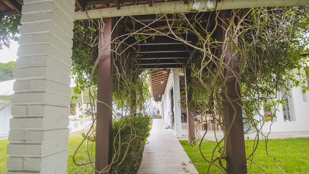 A covered walkway with a brick pillar on the left, surrounded by greenery and leading to a building with a tiled roof. - Vila Gameleira Garça Torta (Maceió)