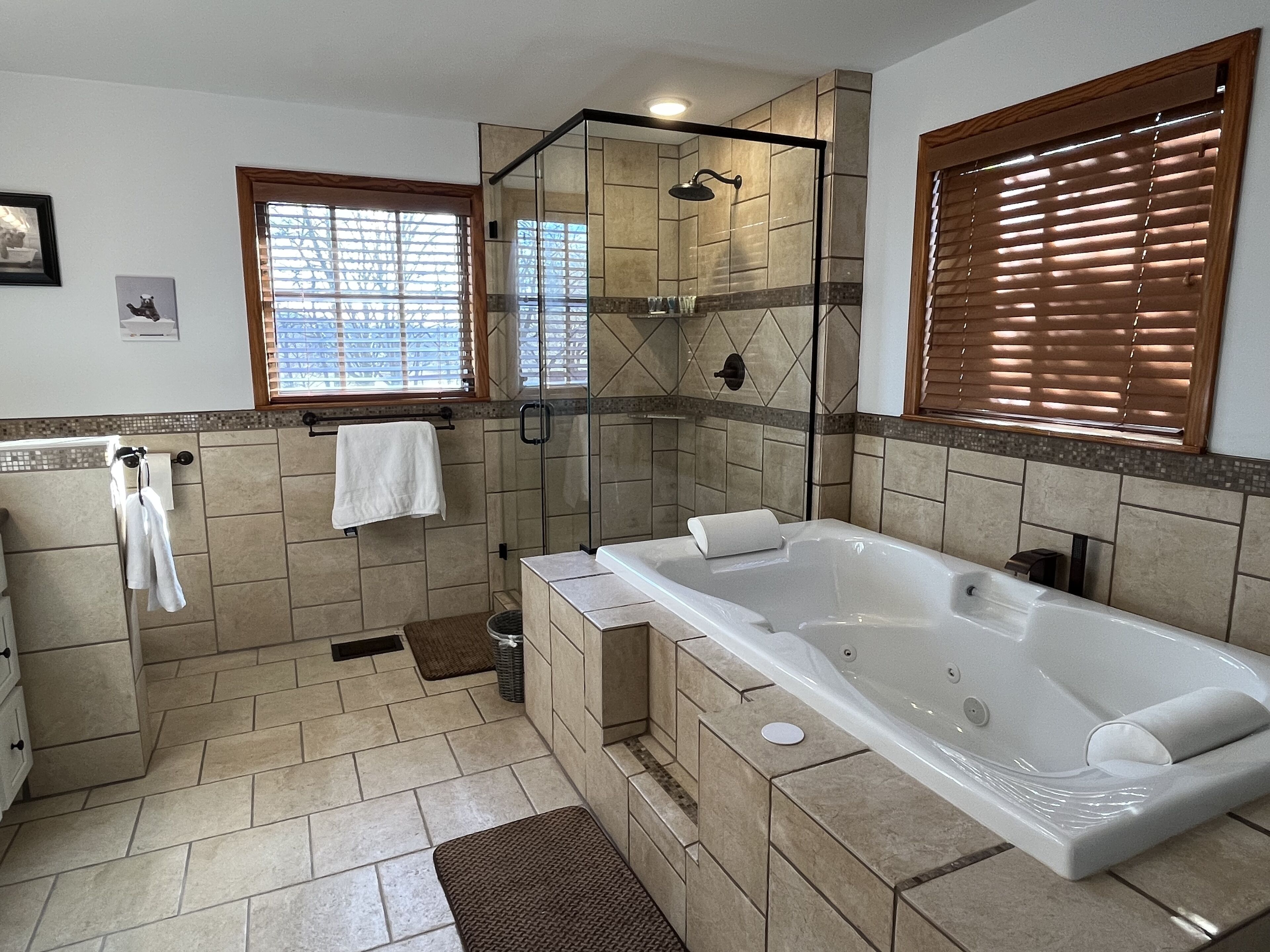Combined shower/tub, jetted tub, hair dryer, towels