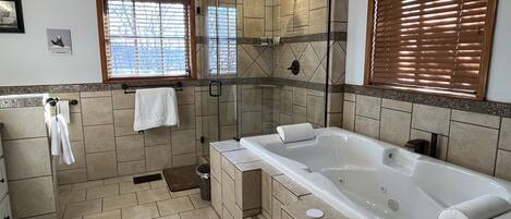 Combined shower/tub, jetted tub, hair dryer, towels
