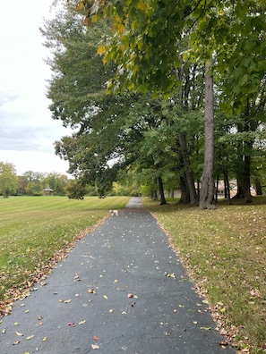 Property grounds - Beautiful quiet retreat near Oneida, Big South Fork, and ATV trails! (Oneida)
