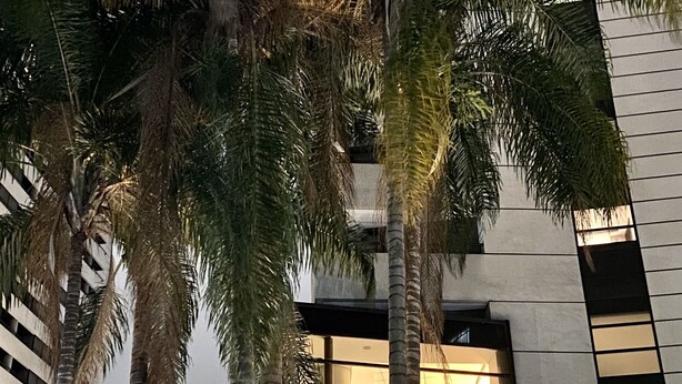 A modern building with a glass facade, palm trees, and a sign indicating a no parking zone. - GPP - Grand Plaza Paulista By Anora Spaces (São Paulo)