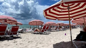 En strand med röd- och vitrandiga parasoller och solstolar.