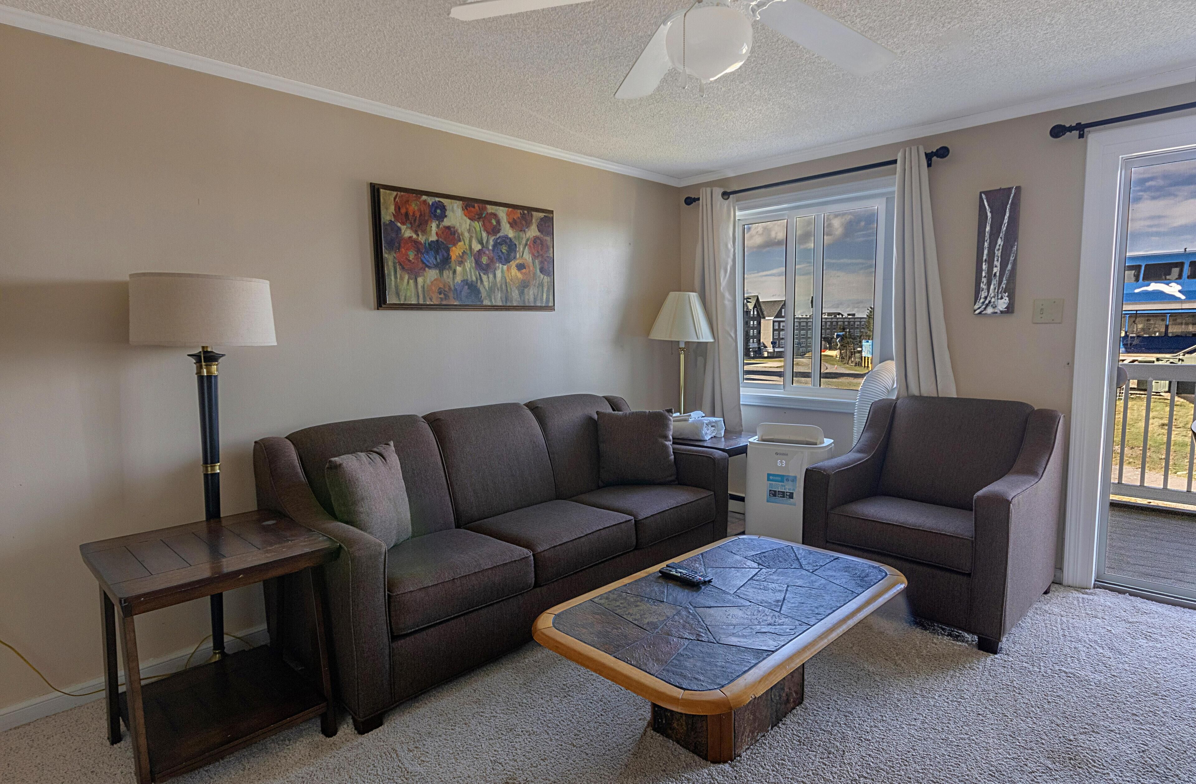 Televisión y reproductor de DVD 