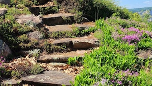 A garden with a stone pathway, green plants, and purple flowers.