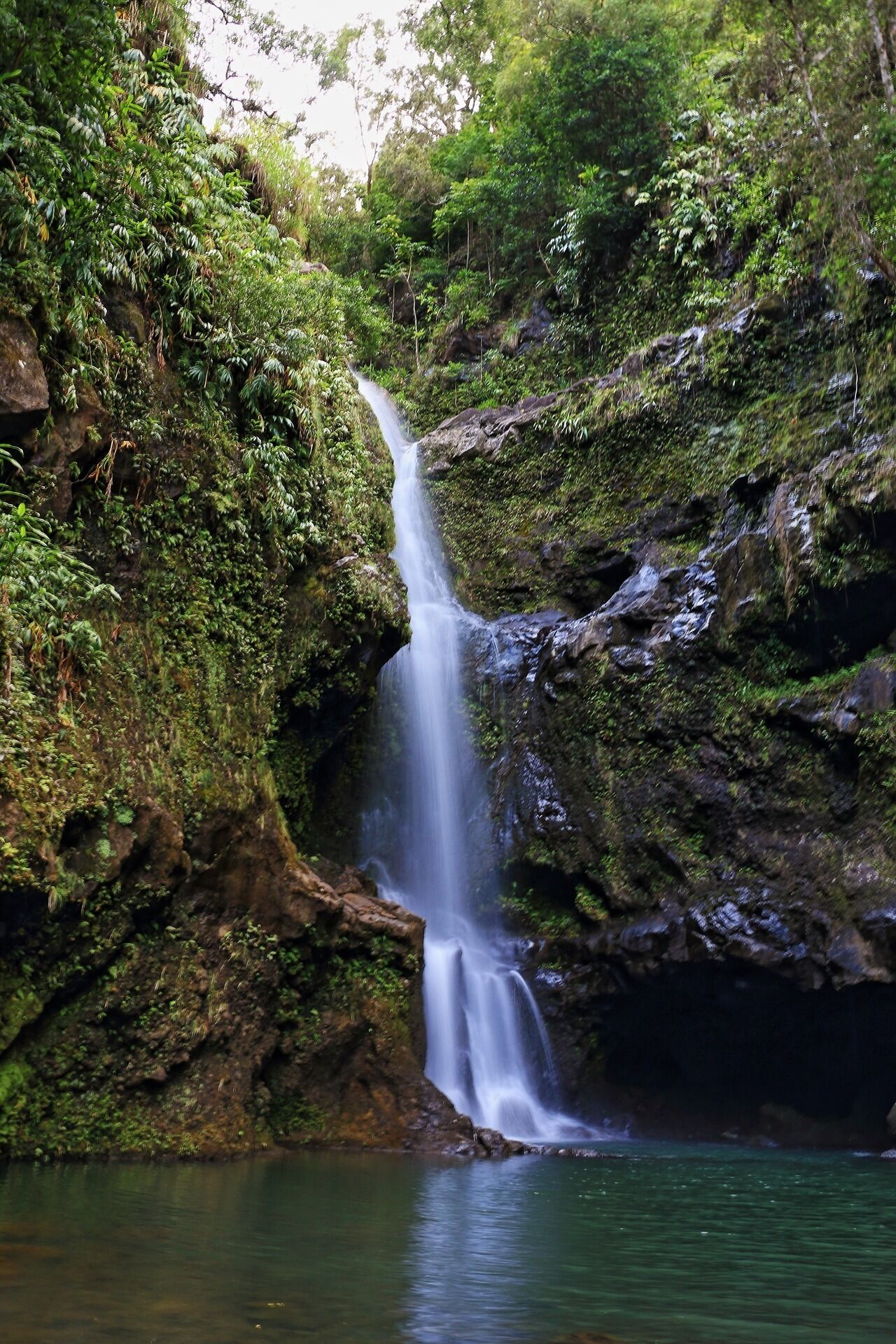 A waterfall cascading down a rocky cliff surrounded by lush greenery.