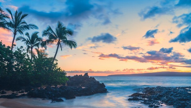 A beach with palm trees and rocky outcrops at sunset.