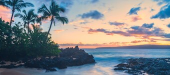 🐬Whales and The Waves | Discount | Beachfront | Oceanview | Pool | AC🐬