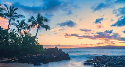 🐬Whales and The Waves | Discount | Beachfront | Oceanview | Pool | AC🐬