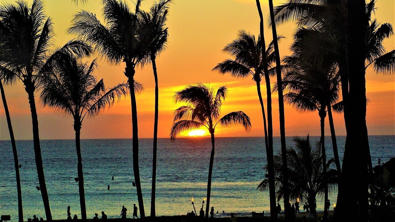 Una puesta de sol sobre el océano, con palmeras silueteadas contra el cielo.