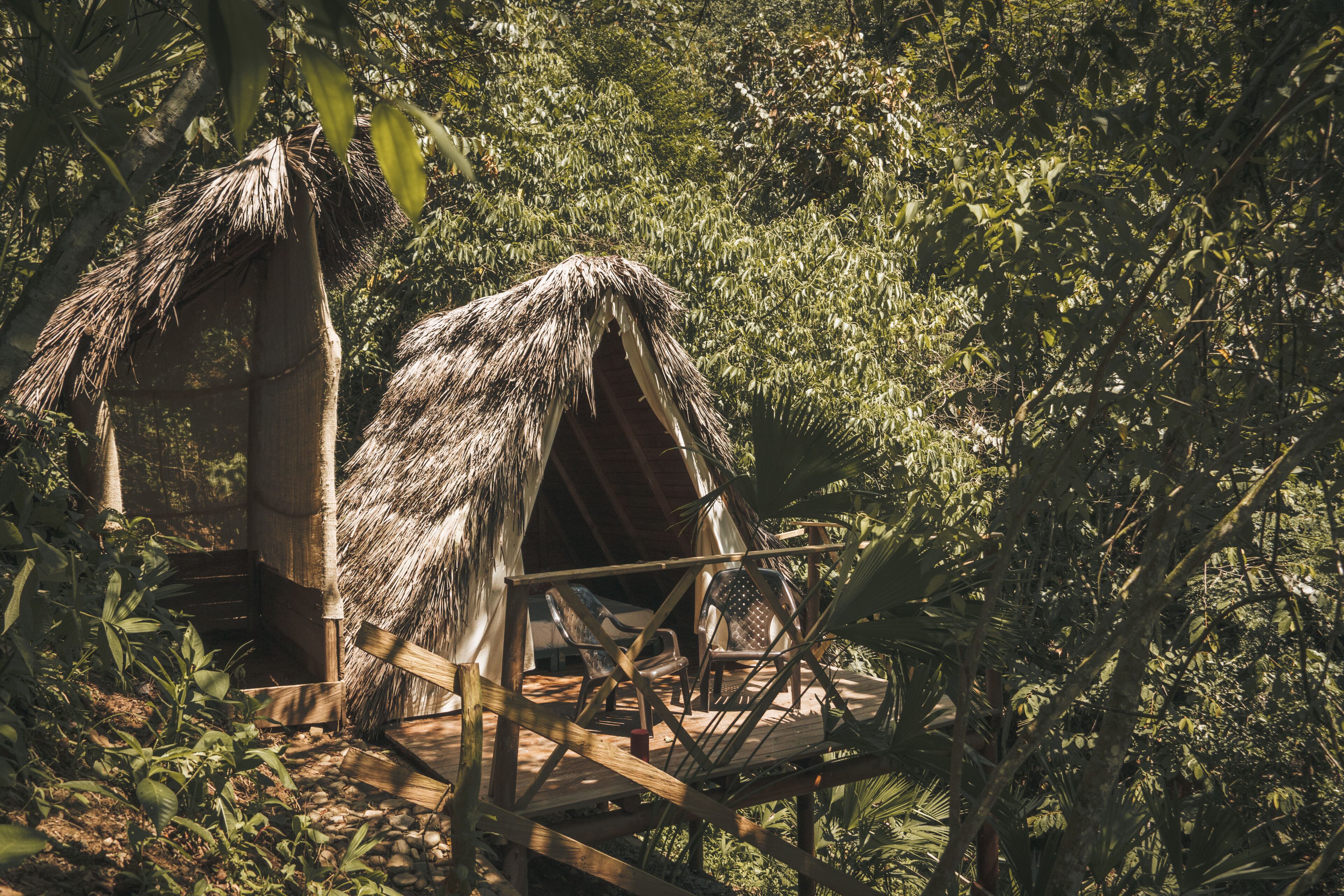 Una cabaña con techo de paja, terraza de madera y sillas, rodeada de follaje denso.