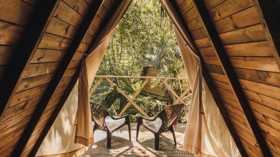 Tigrillo Rio Claroby LosColoresEcoparque