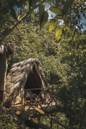 A thatched-roof hut with a wooden deck and chairs, surrounded by dense foliage.