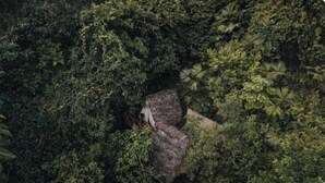 Luftaufnahme eines dichten Waldes, in dem eine Struktur teilweise von Vegetation verdeckt ist.