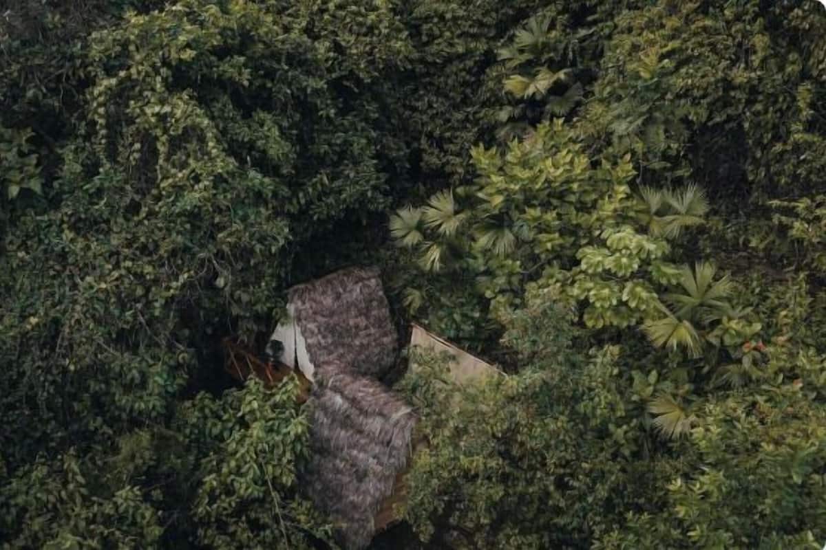 Vista aérea de uma floresta densa com uma estrutura parcialmente escondida pela vegetação.