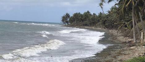 Praia | Perto da praia 