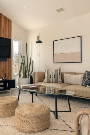Smart TV, fireplace, books, music library
