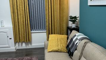 Smart TV, Netflix, books, streaming services