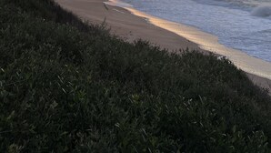 A beach with waves and a sunset. - Cosy Pet Friendly Beach Cottage (Golden Beach)